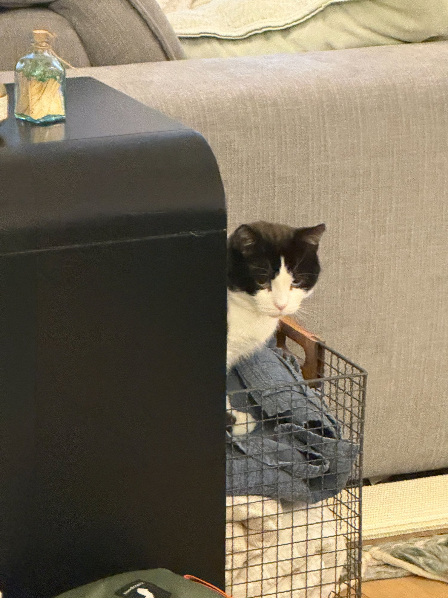 Pasted image 20260131191814.png